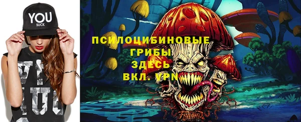 ешки Михайловск
