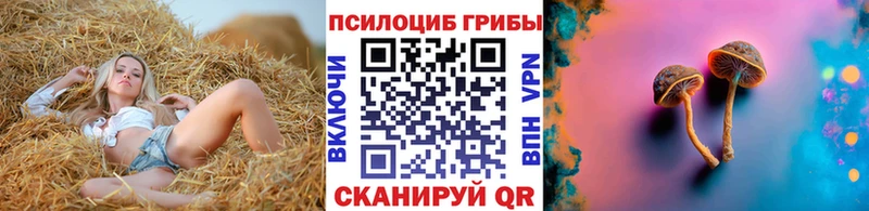 даркнет сайт  shop какой сайт  Псилоцибиновые грибы мицелий  Усолье 